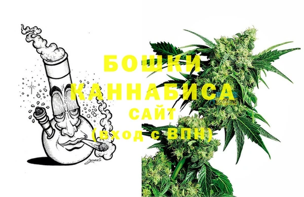 дживик Мегион