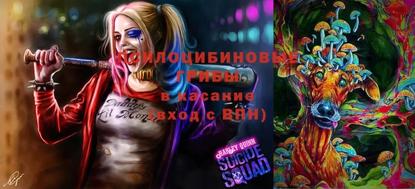 марки lsd Медвежьегорск