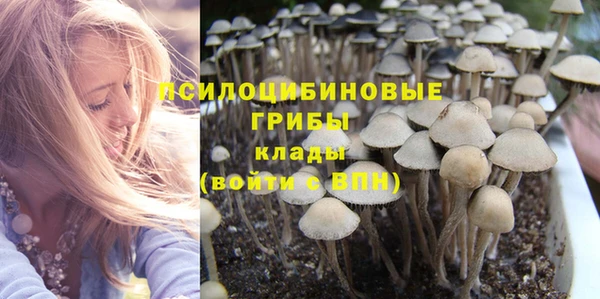 дживик Мегион