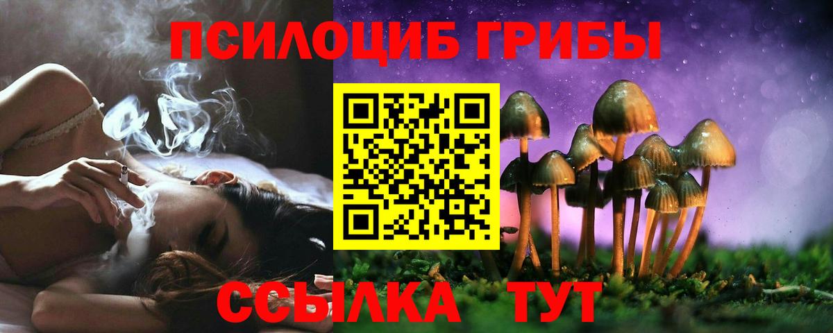 Псилоцибиновые грибы MAGIC MUSHROOMS Междуреченск