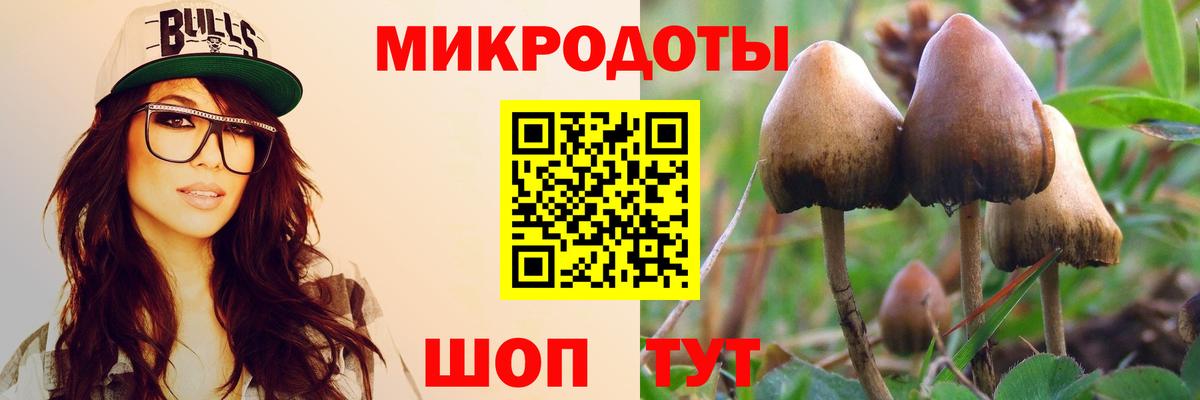 Псилоцибиновые грибы Psilocybe  Вход с VPN  Междуреченск 